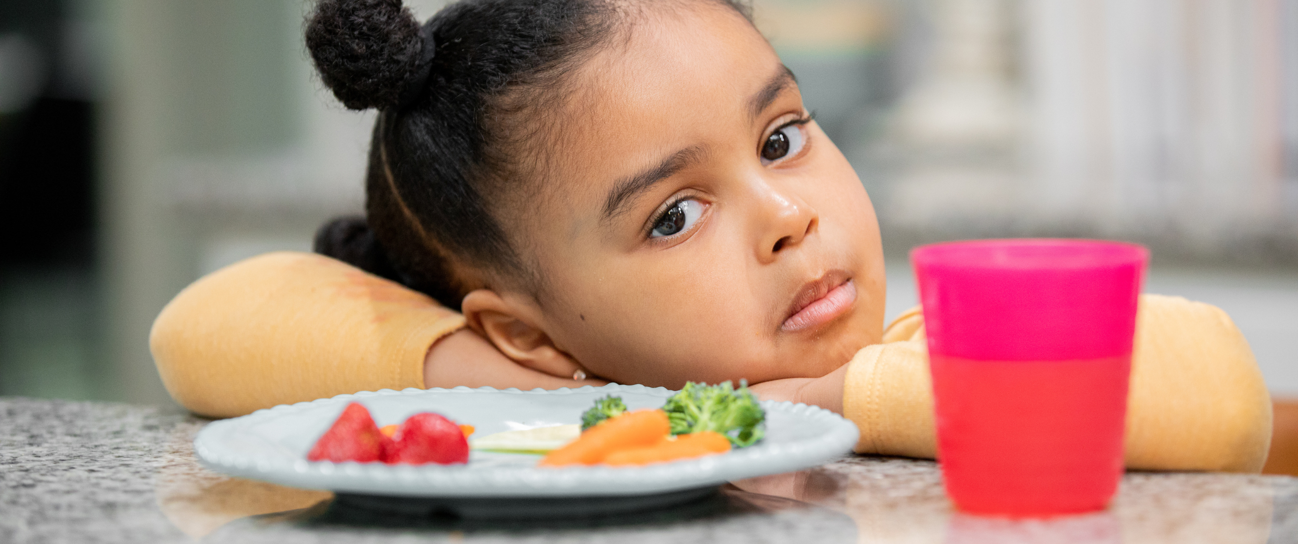 I Have a Picky Eater, Now What?