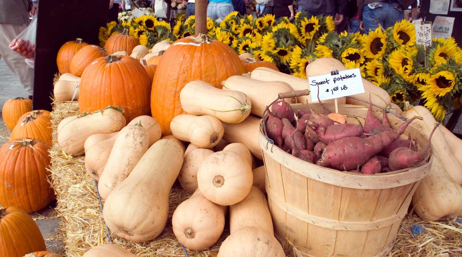 Fall Foods for Baby: BLW-Friendly Fruits & Vegetables
