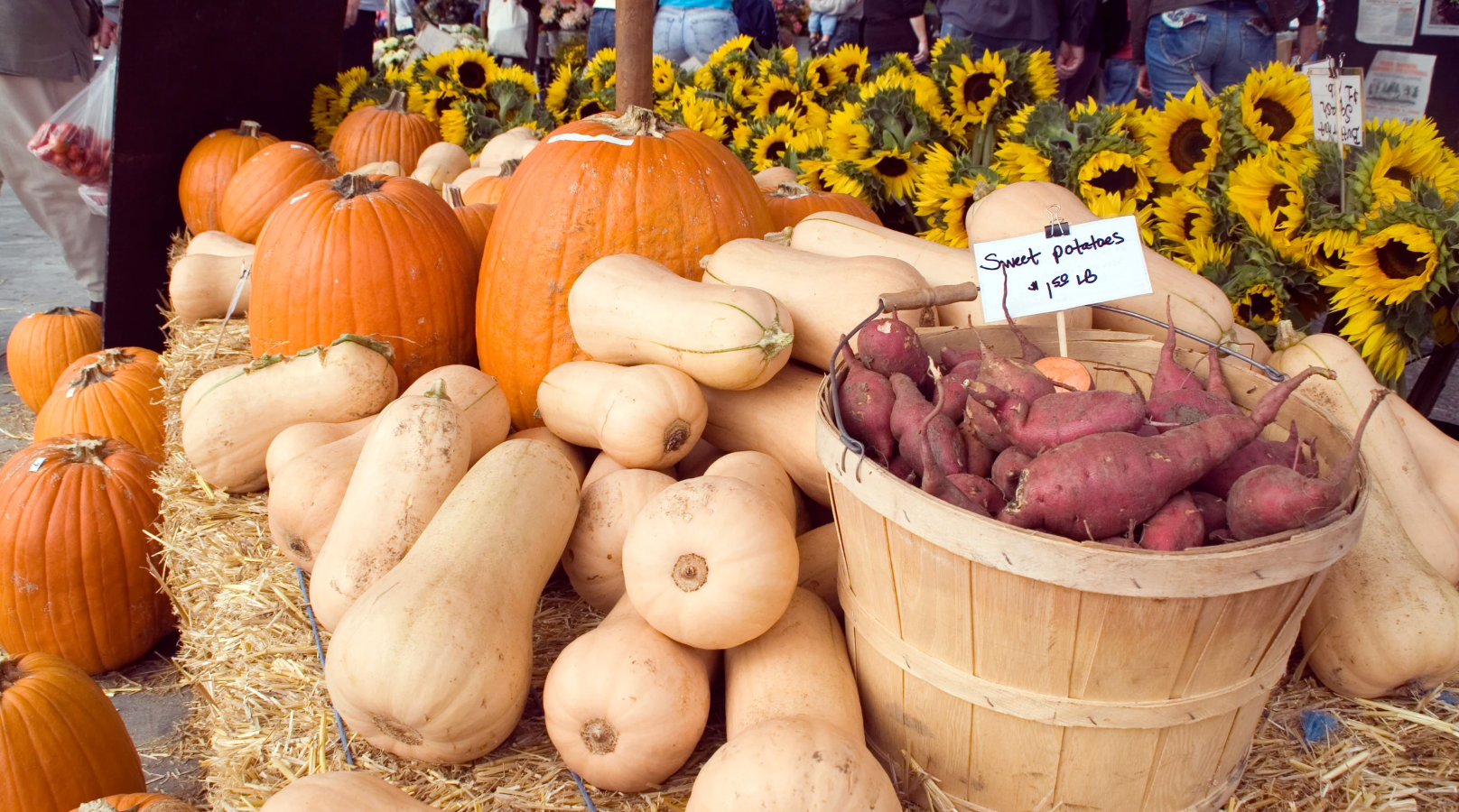 Fall Foods for Baby: BLW-Friendly Fruits & Vegetables