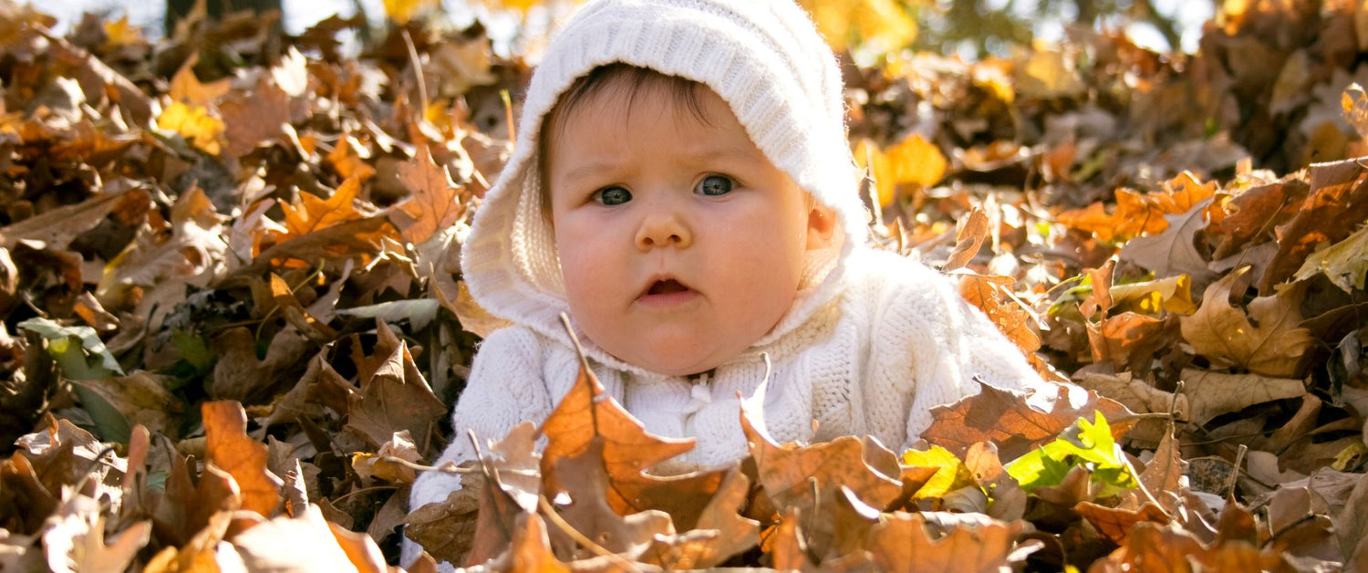 The Ultimate Fall Bucket List for Babies & Toddlers: Fun, Learning, Family Bonding