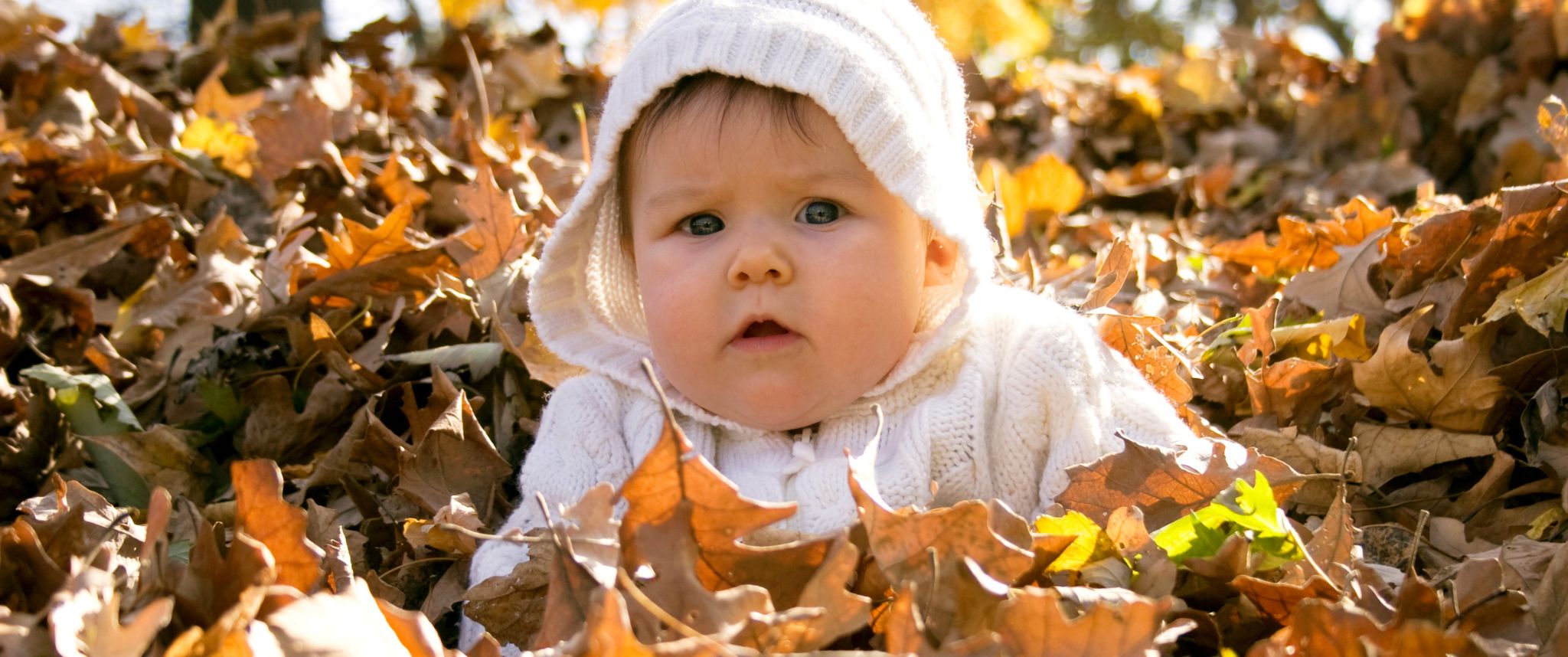 The Ultimate Fall Bucket List for Babies & Toddlers: Fun, Learning, Family Bonding