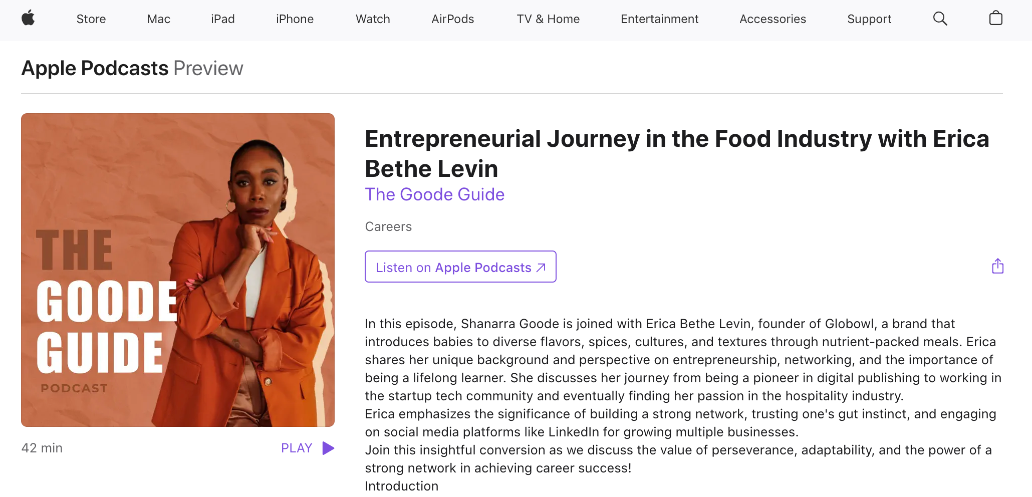 The Goode Guide Podcast - Entrepreneurial Journey in the Food Industry with Erica Bethe Levin