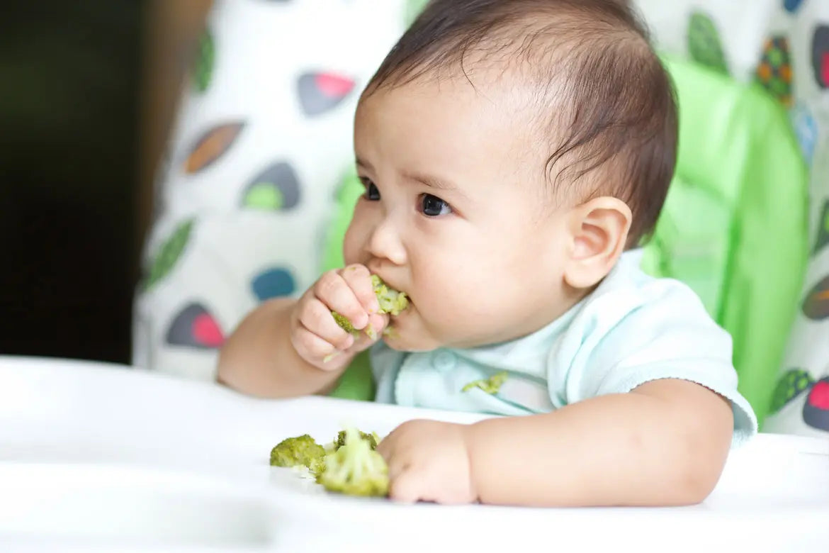 The Role of Baby-Led Weaning: Empowering Your Little One's Journey to Solid Foods