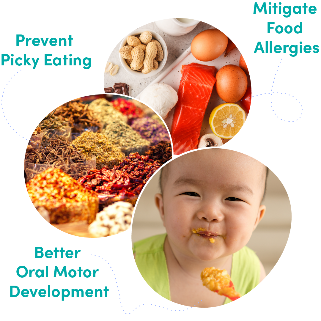 prevent picky eating, mitigate food allergies, better oral motor development