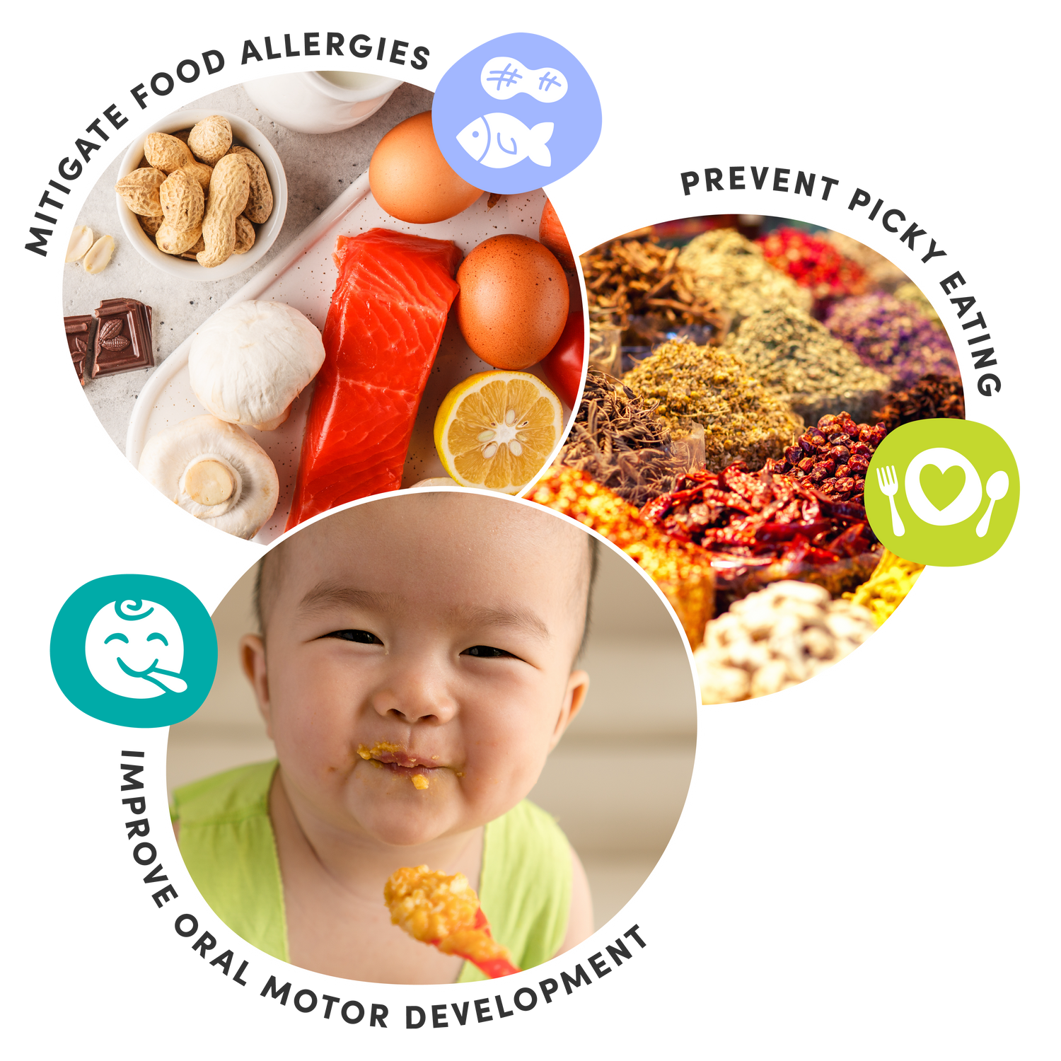 Mitigate food allergies. Prevent picky eating. Improve oral motor development.